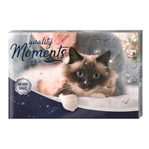 MOMENTS Adventskalender für Katzen