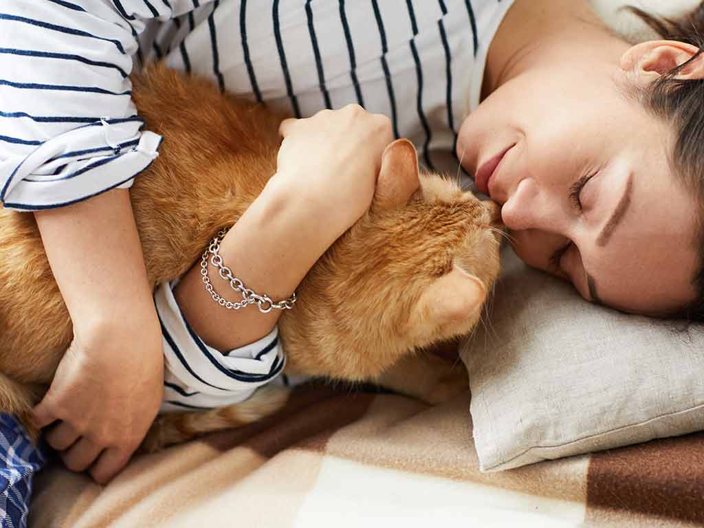 Katze Erschreckt Sich Im Schlaf