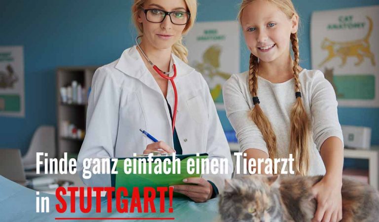 Tierarzt Stuttgart