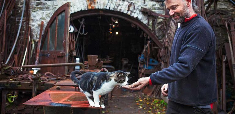 Mann füttert eine Katze