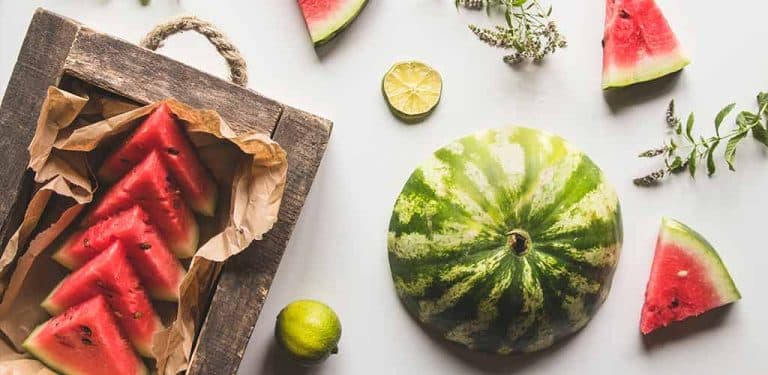 dürfen katzen wassermelone essen