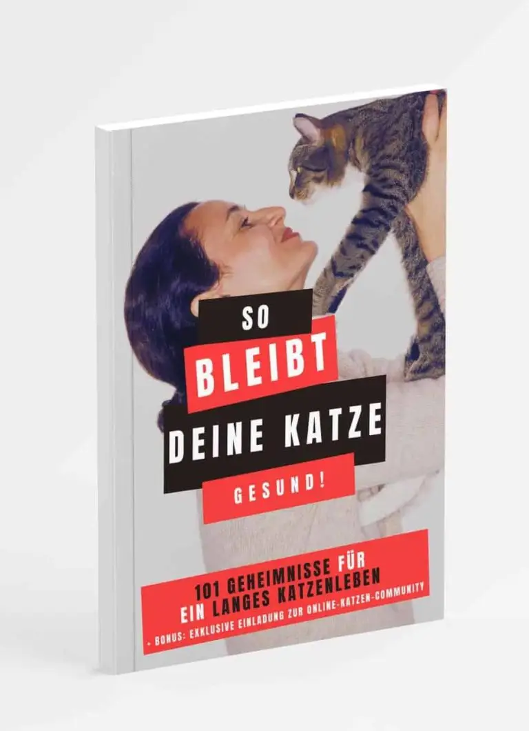 So Bleibt Katze Gesund scaled e1707055111435