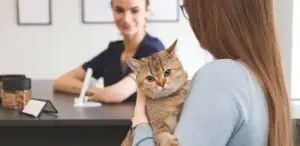 Frau mit Katze wird beim Tierarzt beraten
