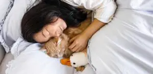 Katze schläft im Bett neben dem Kopf einer Frau